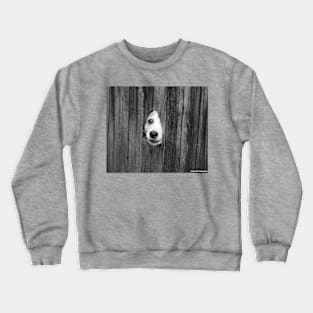 Dog in the Hole Crewneck Sweatshirt